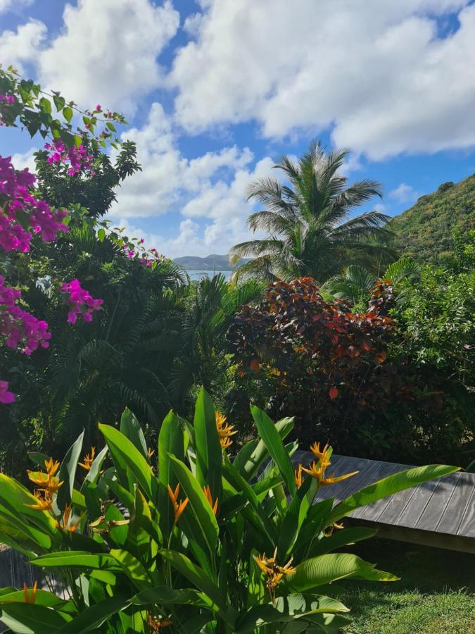 La Villa Baie Du Marin Le Marin エクステリア 写真